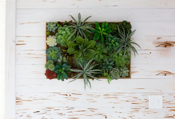 The best wall planters to save floor space and add style