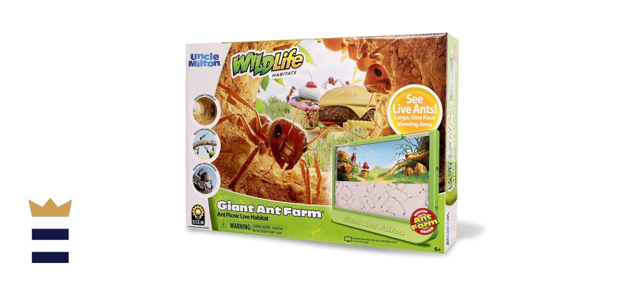 Uncle Milton Giant Ant Farm