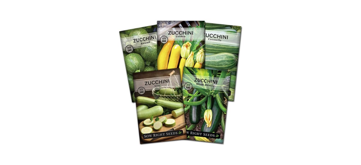 Sow Right Seeds - Zucchini Squash Seed Collection for Planting