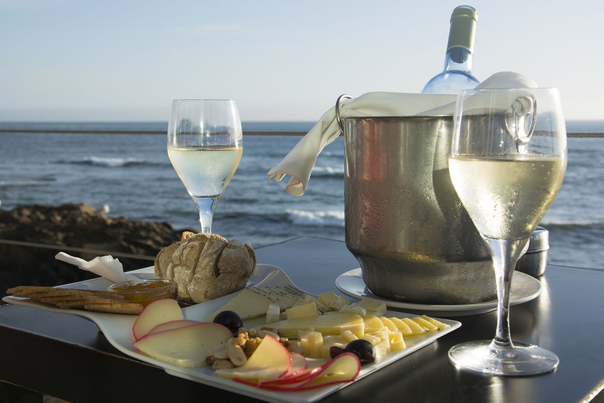 5 Best Wine Chillers Aug. 2024 BestReviews