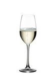 Best Champagne Glasses