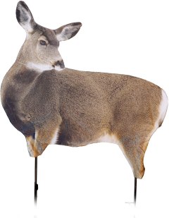 Montana Decoy Miss Muley