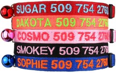 GoTags Custom Embroidered Cat ID Collars with Breakaway Safety Release Buckle