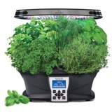 Best Indoor Herb Gardens 
