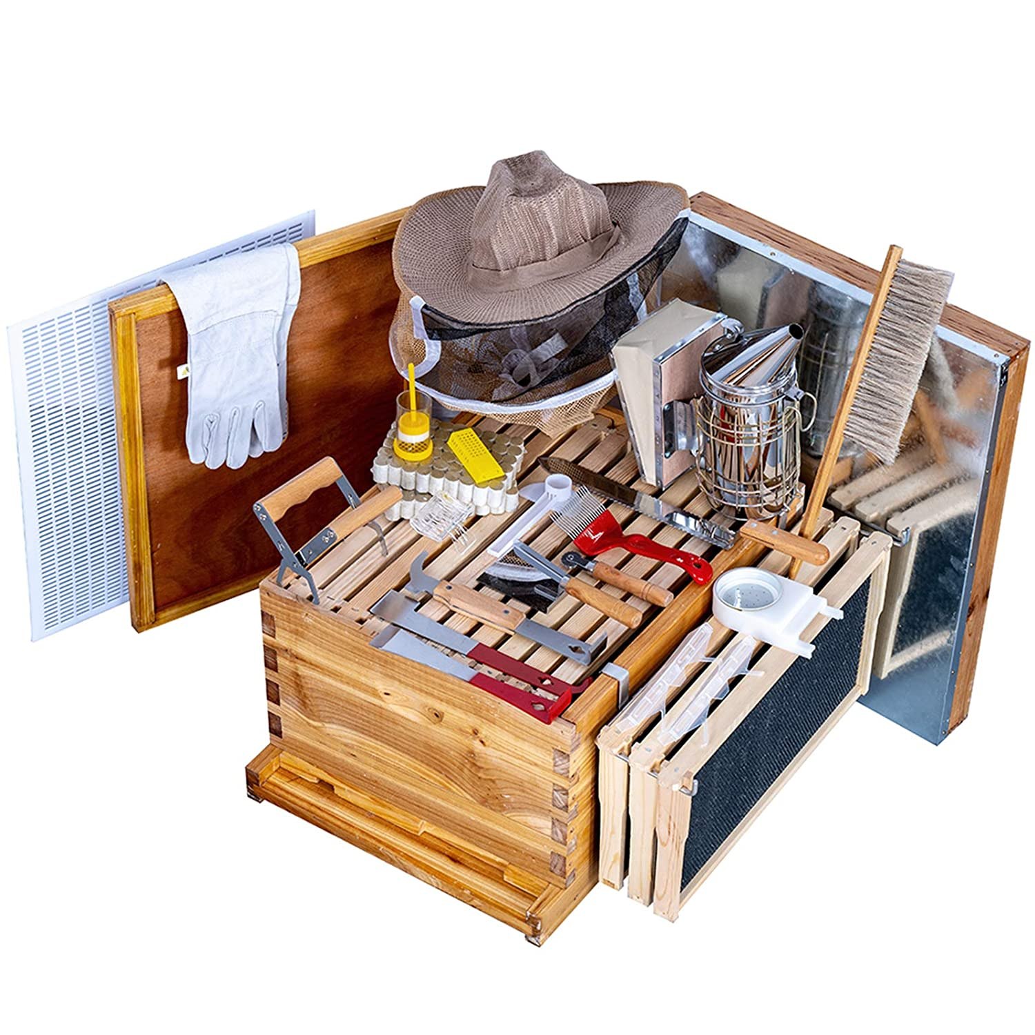 MayBee Beehive Starter Kit