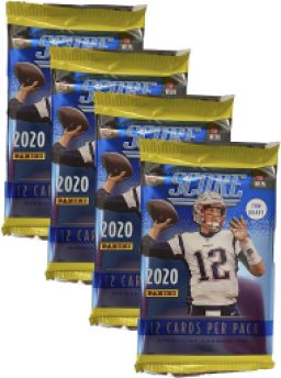 Panini