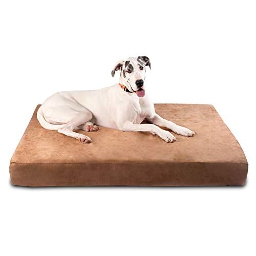 Big Barker 7-Inch Pillow Top Orthopedic