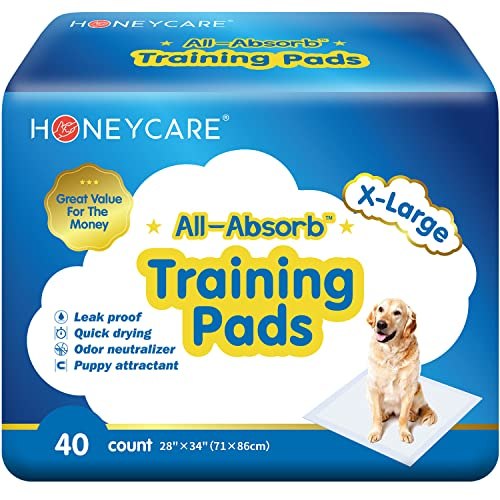 Honey Care All-Absorb Extra-Large Training Pads