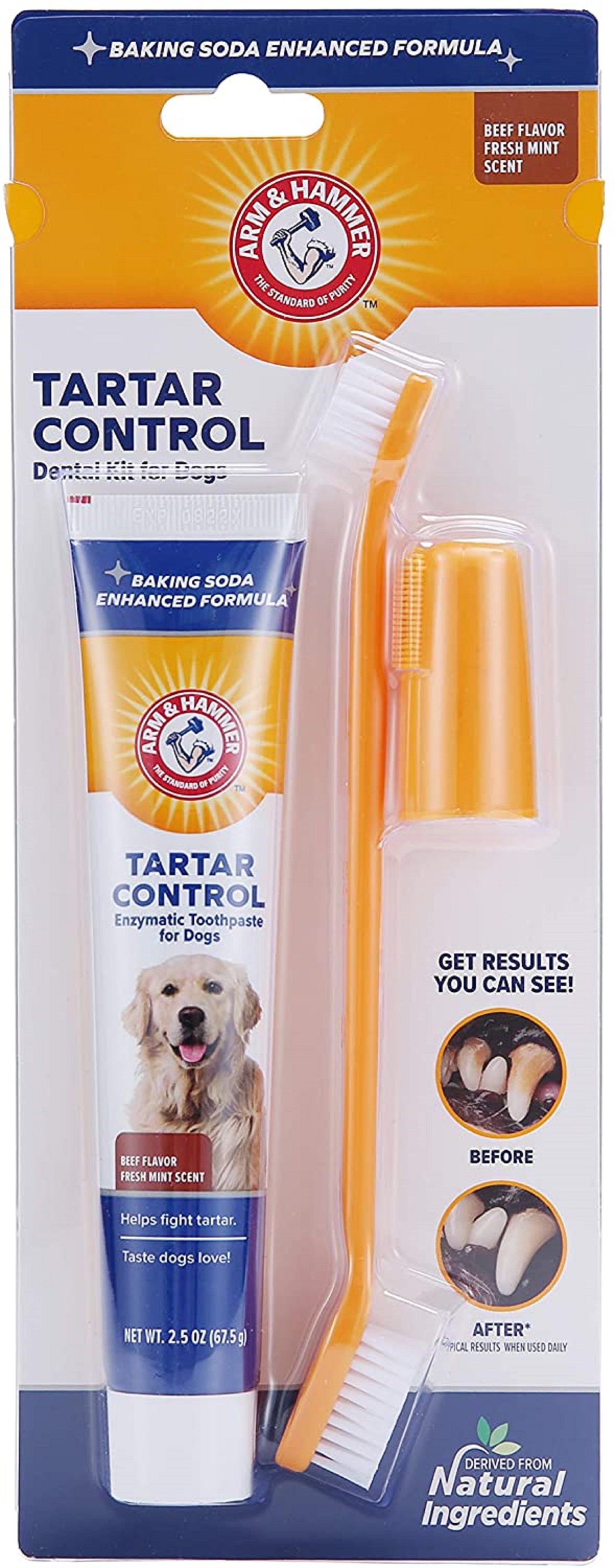 Arm &amp; Hammer Tartar Control Enzymatic Toothpaste for Dogs