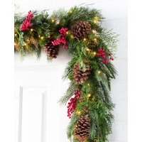 Balsam Hill Outdoor Red Berry Pine Foliage