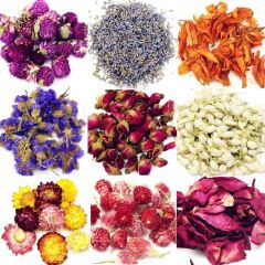 Oameusa Dried Flowers