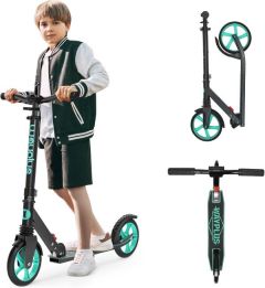 Wayplus Kick Scooter