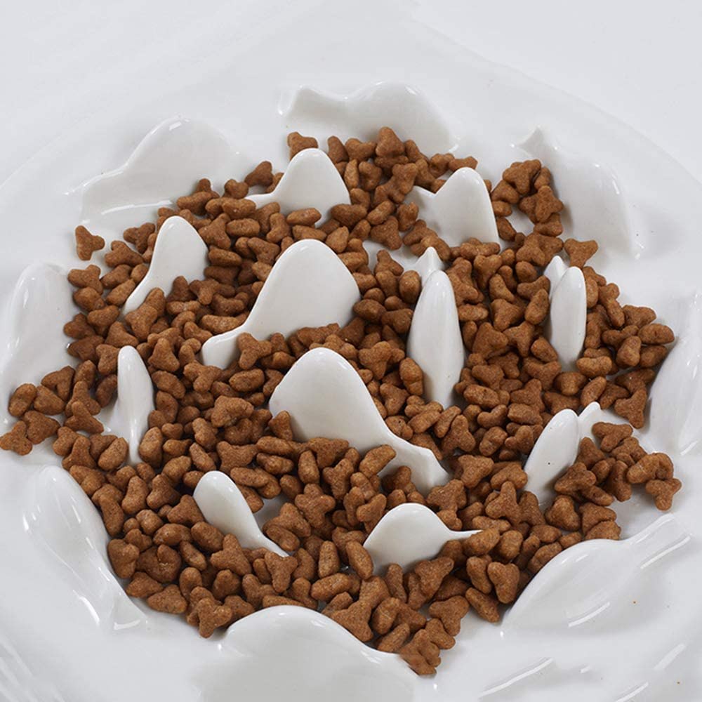 DotPet Slow Feeder Cat Bowl