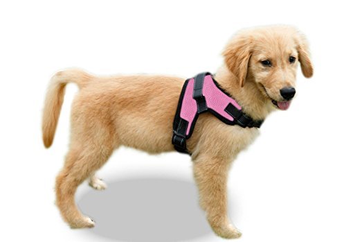 Copatchy No-Pull Reflective Adjustable Dog Harness