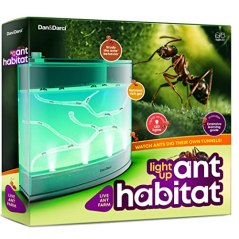 Top Ant Farm (Reviews) of 2023 - 22 Words