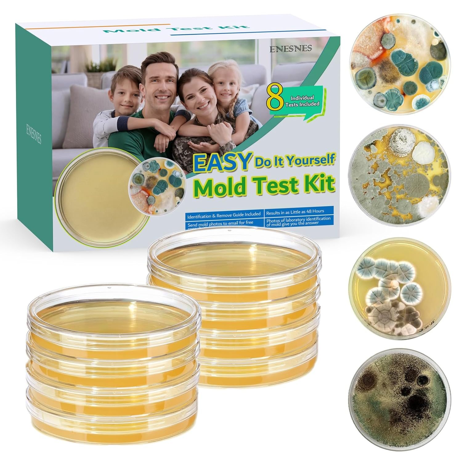 Eneses Mold Test Kit for Home