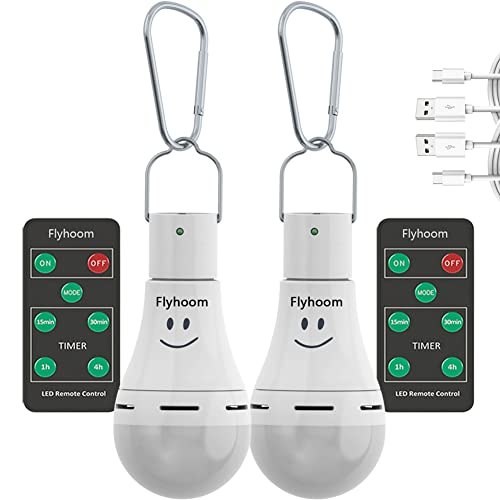 Flyhoom Rechargeable LED Light With Remote