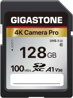 Gigastone V30 SDXC Memory Card