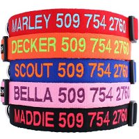 GoTags Personalized Nylon Dog Collar
