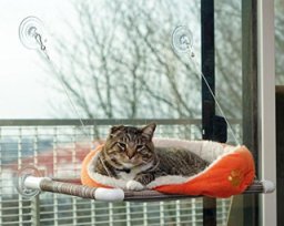 Kitty Cot