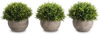 Opps Mini Artificial Plants