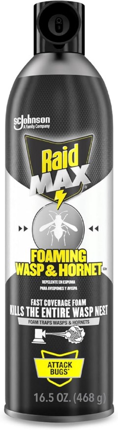 Raid  Max Foaming Wasp & Hornet Killer