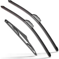 Raintok Windshield Wiper Blades