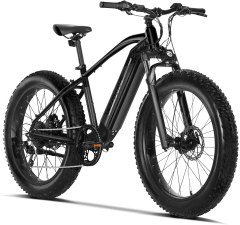 Velowave 750W Electric Bike