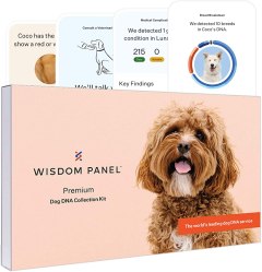 Wisdom Panel Premium Dog DNA Test